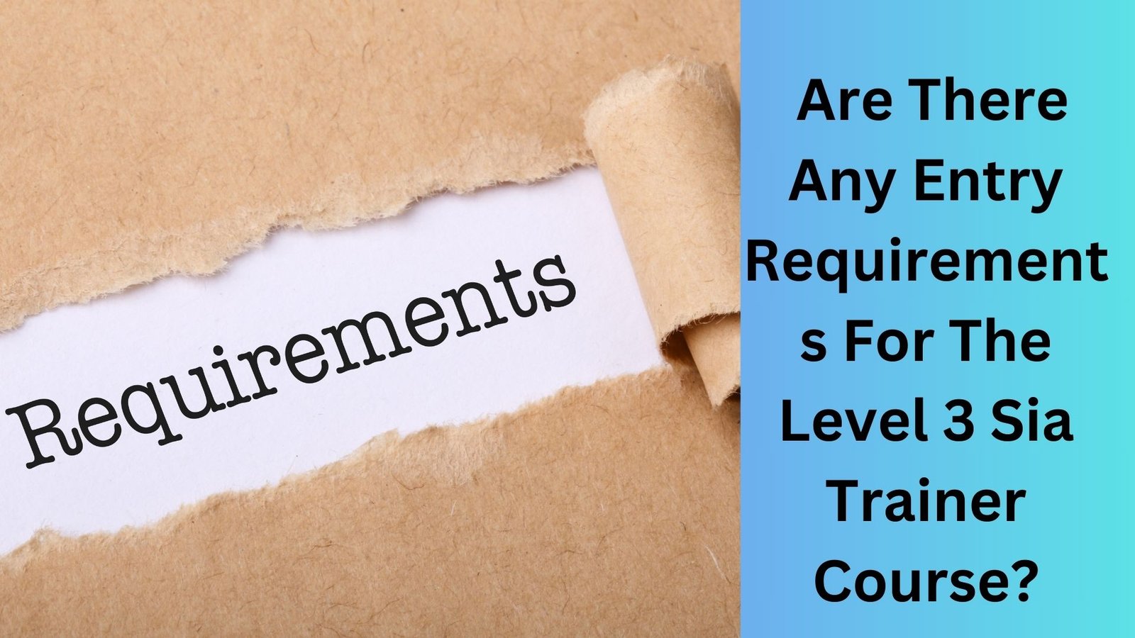 Are There Any Entry Requirements For The Level 3 Sia Trainer Course